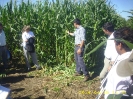 Jornada Técnica_11